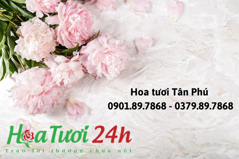 Shop hoa tươi Tân Phú