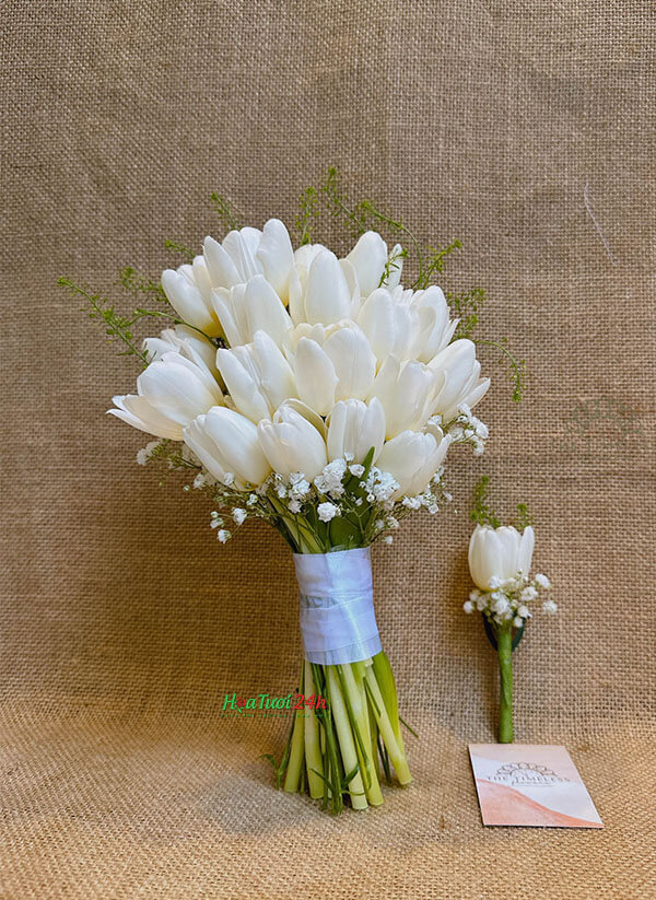 Hoa cưới Tulip