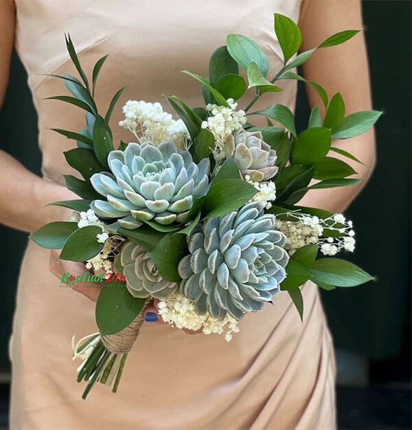 Hoa cưới sen đá