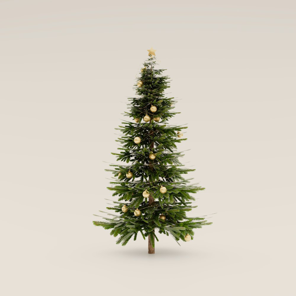 Cây thông Noel tươi 1m–1m25, mã TN01 (ảnh minh họa)
