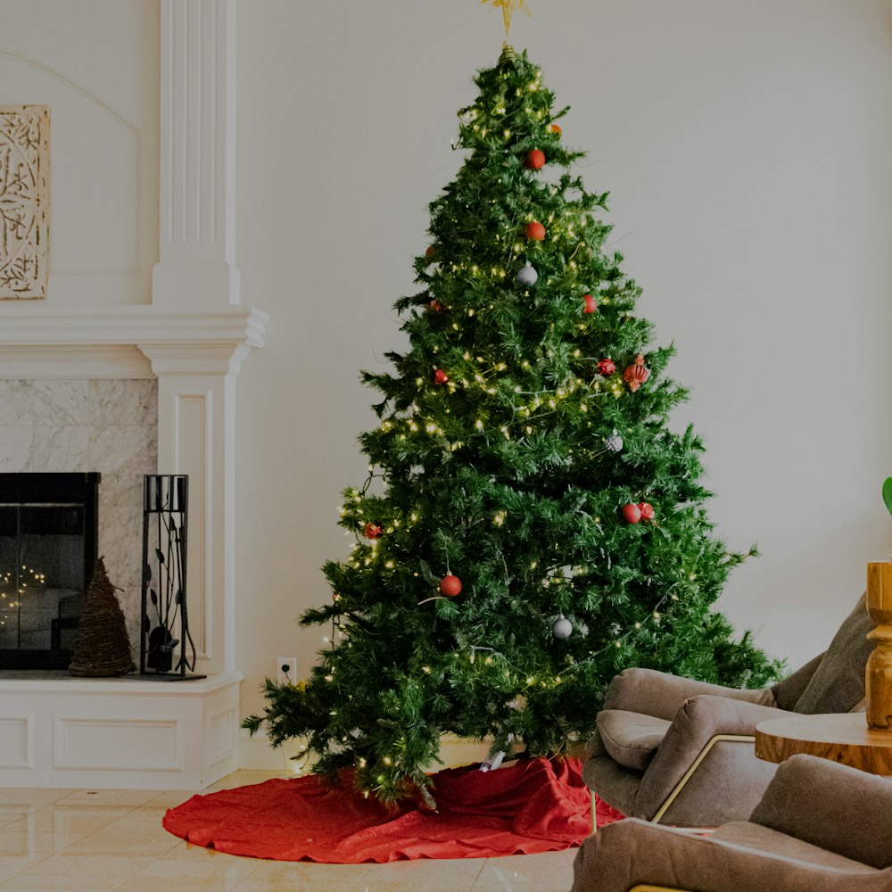 Cây thông Noel tươi đặt trong phòng khách (ảnh minh họa)