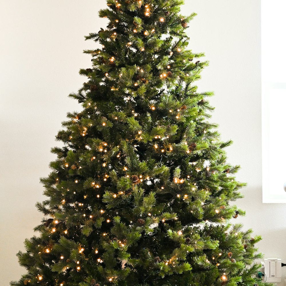 Cây thông Noel tươi 2m–2m5, mã TN05 (ảnh minh họa)