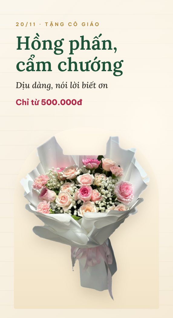 Hoa tặng cô giáo 20/11: hồng phấn, cẩm chướng