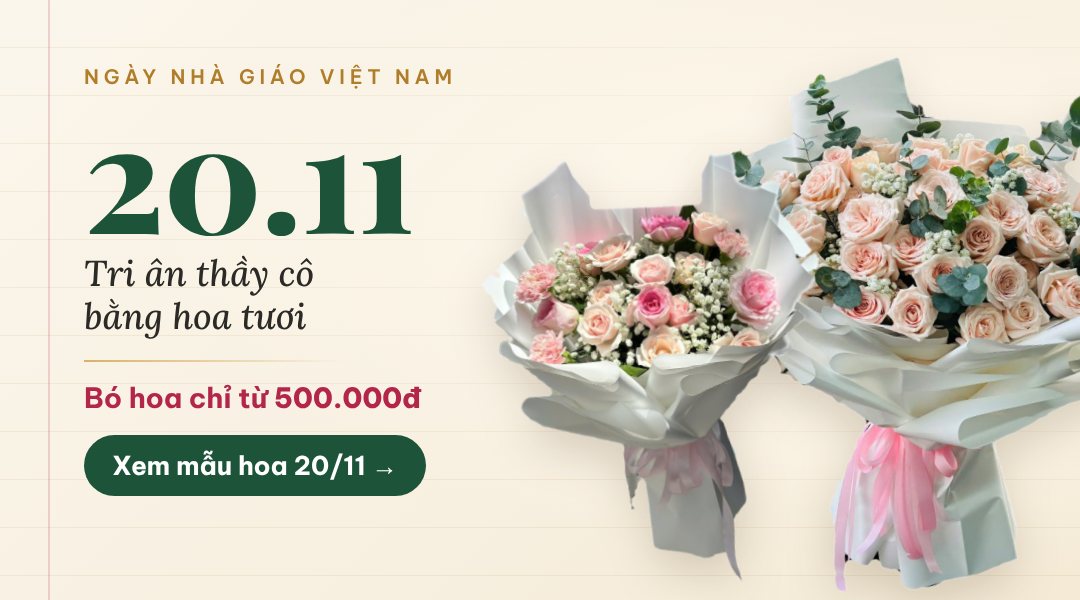 Hoa 20/11 tri ân thầy cô, bó hoa từ 500.000đ